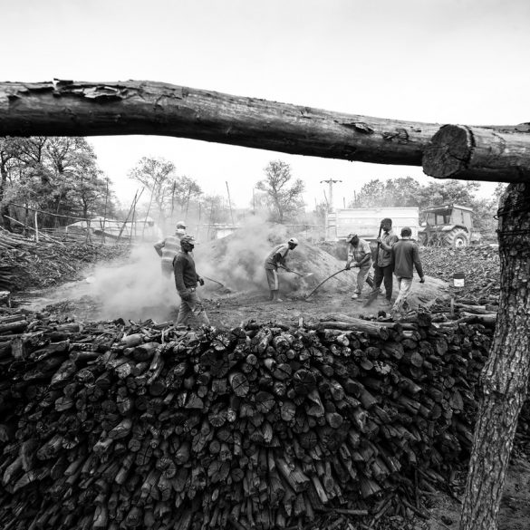 Logging history of BC