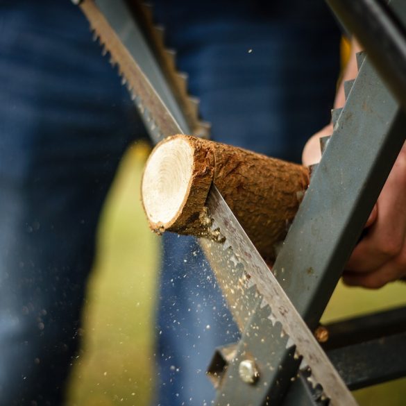 Antique lumberjack Saws British Columbia