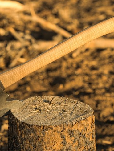 Axe Competition British Columbia