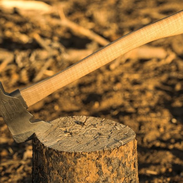 Axe Competition British Columbia