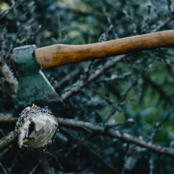 Axe grind bevel British Columbia