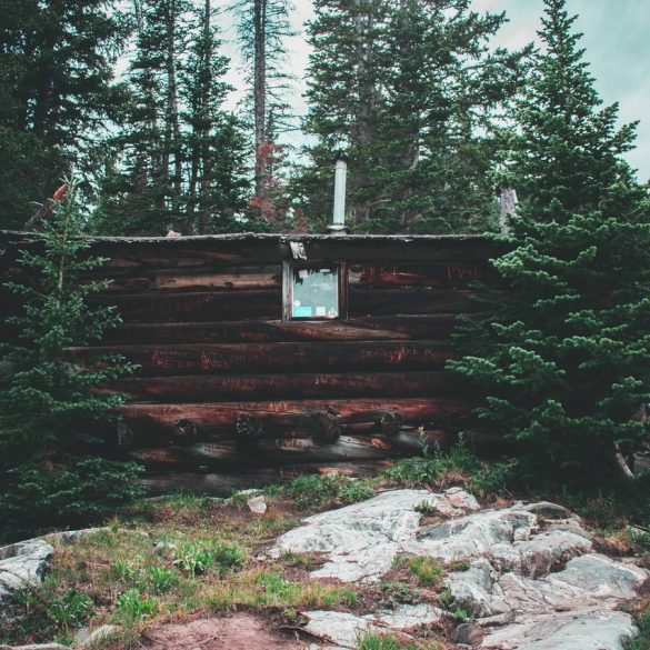 Best Competition axes British Columbia