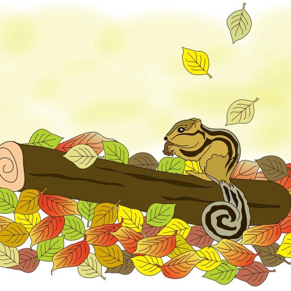 Best Lumberjack axes British Columbia