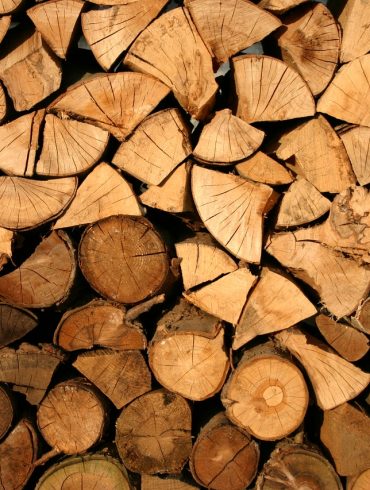 Canada logging companies