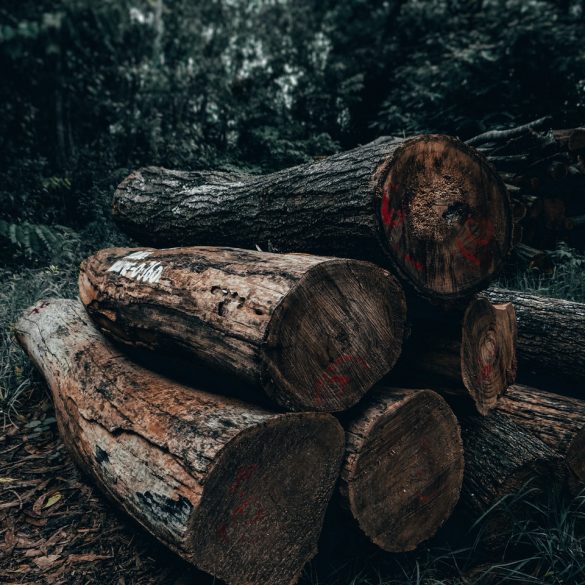 Canada logging issues