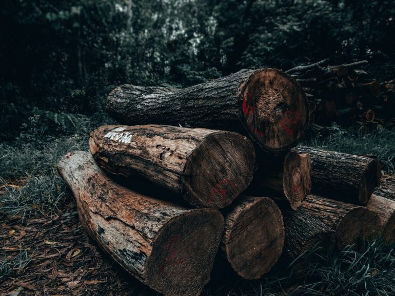 Canada logging issues
