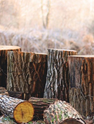 Canadian Logger Sports Association