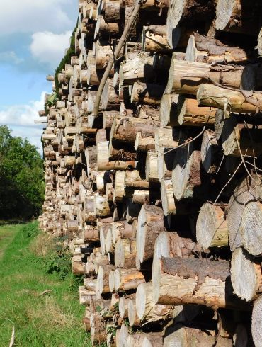 Canadian Lumberjack jobs
