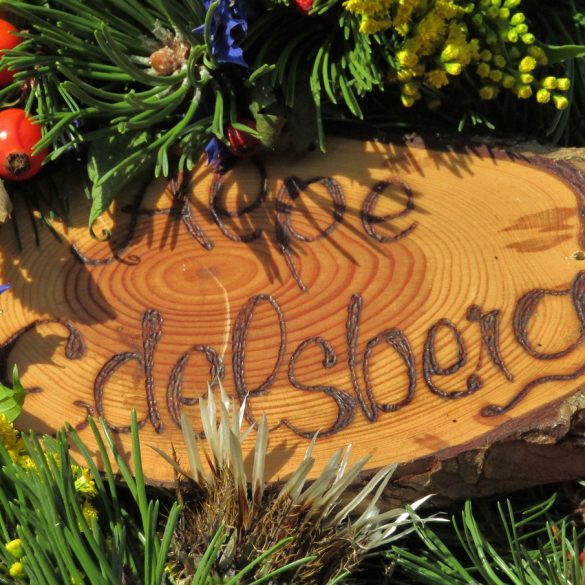 Canadian Lumberjack names