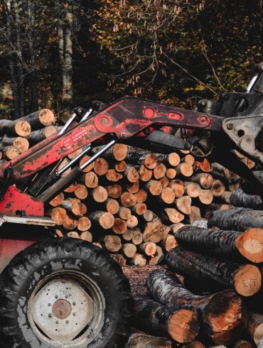 Canadian Lumberjack stereotypes