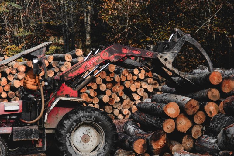 Canadian Lumberjack stereotypes