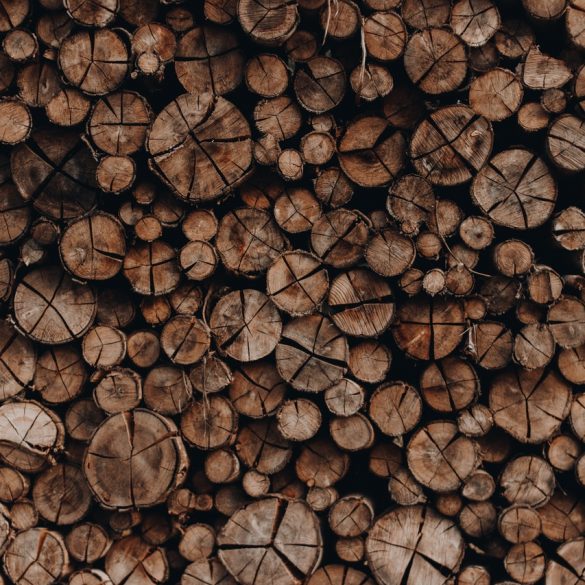 Canadian logging industry