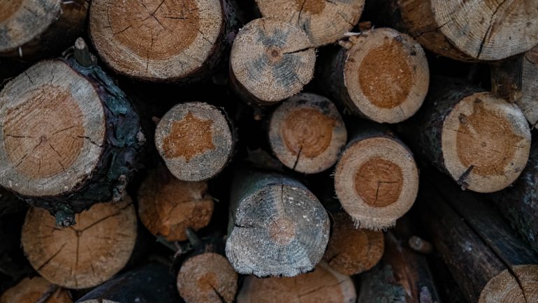 Canadian logging industry jobs