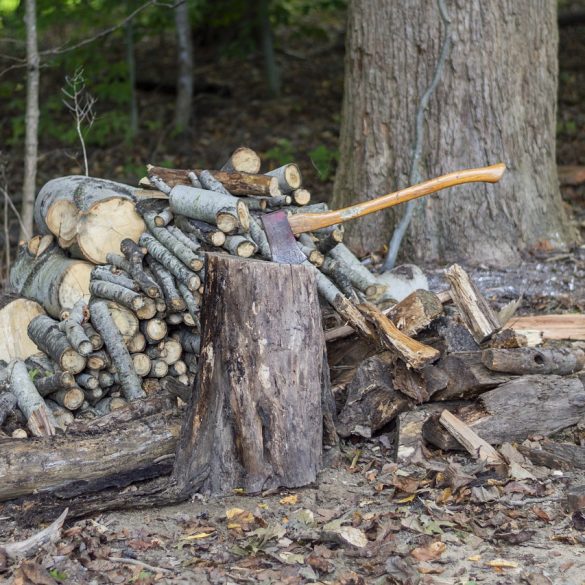 Competition Felling axes British Columbia