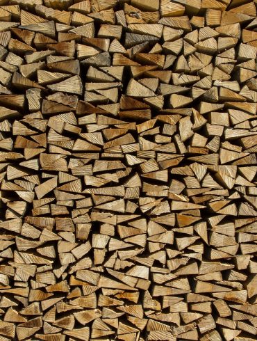 Competition Felling axes Canada BC