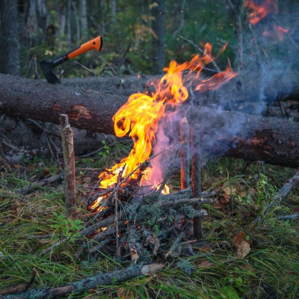 Competition logging axes British Columbia