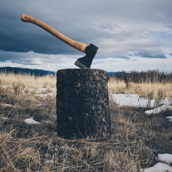 Definition Lumberjack