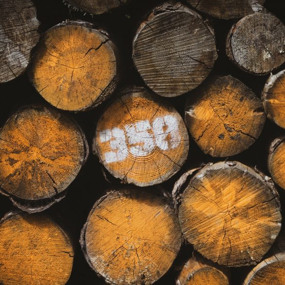 Definition of the word Lumberman Canada BC