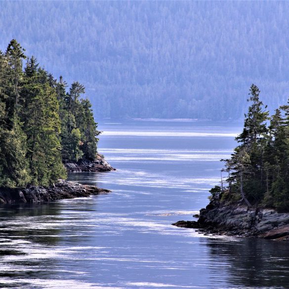Great Alaskan Lumberjack Show