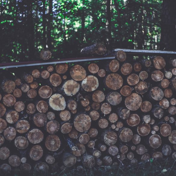 Great Alaskan Lumberjack Show Tickets