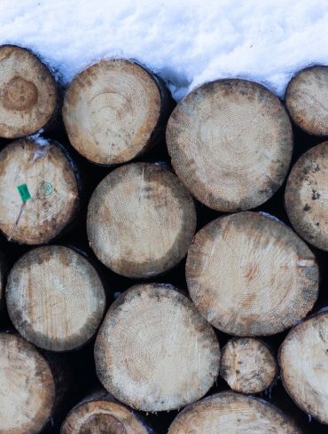 Gypo Logger Meaning British Columbia