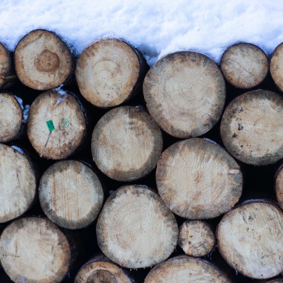 Gypo Logger Meaning British Columbia