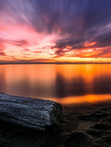 Gypo Logger Meaning Canada BC