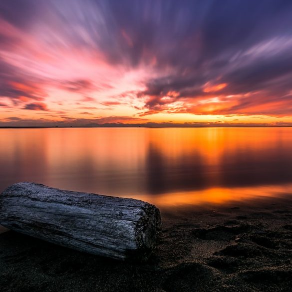 Gypo Logger Meaning Canada BC