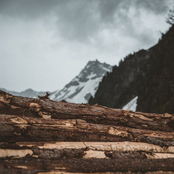 Gyppo Logger Definition British Columbia