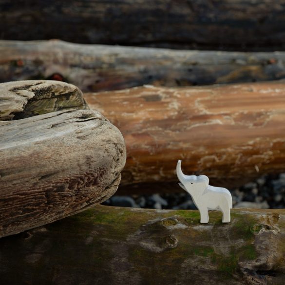 Gyppo loggers Canada BC