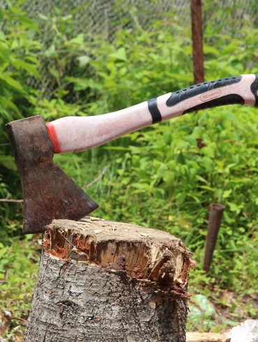 History of Lumberjacks