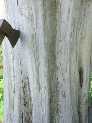 Jack Pine Lumberjack Shows