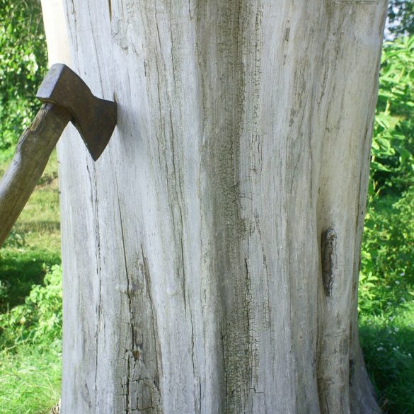 Jack Pine Lumberjack Shows