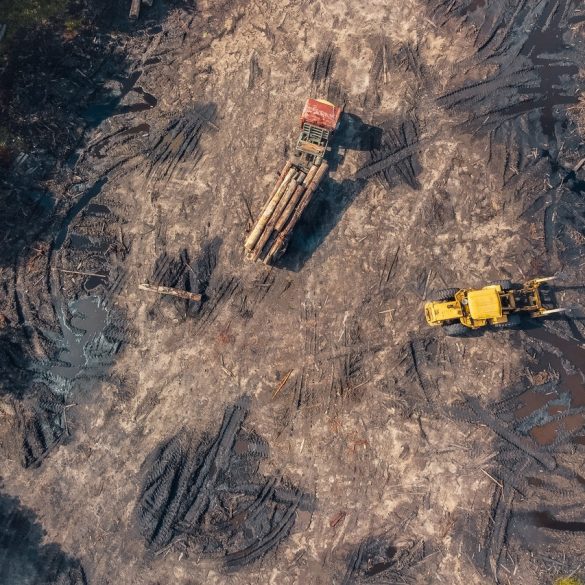 Log trucks with Loader British Columbia