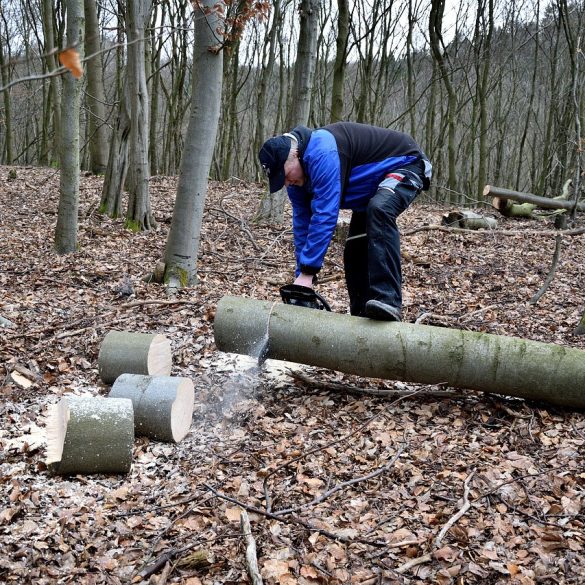 Logger Sports Canada