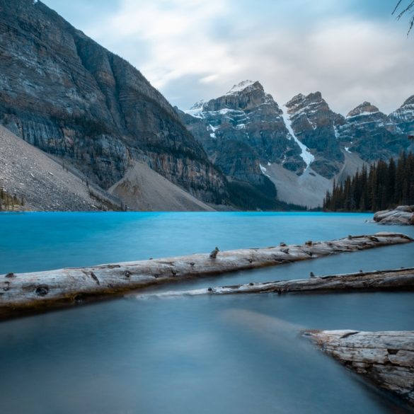 Logging Canada history