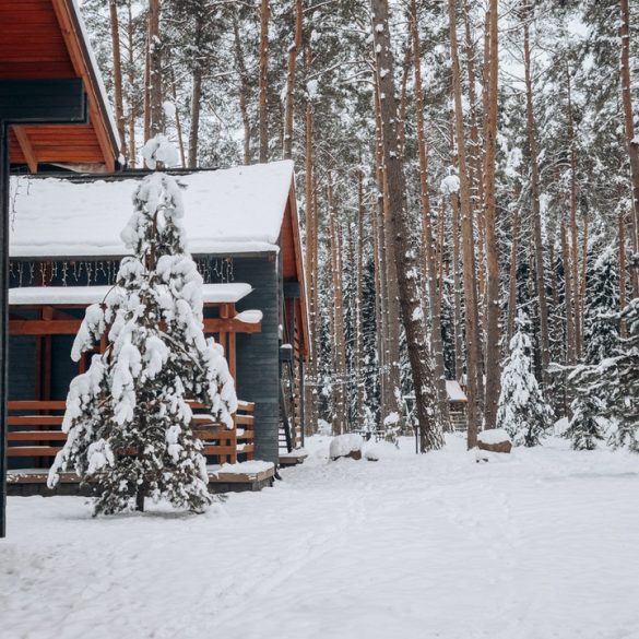 Logging methods Canada BC