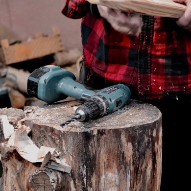 Louie Lumberjack