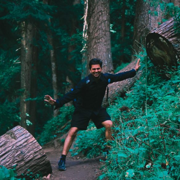 Lumberjack Branson MO