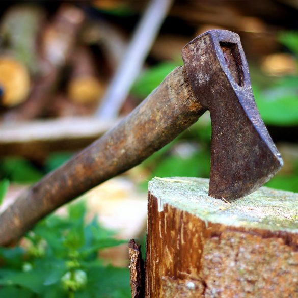 Lumberjack Competition axes