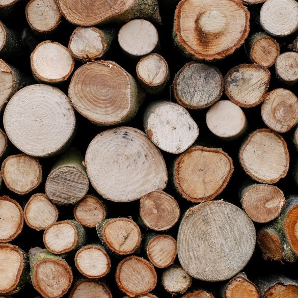 Lumberjack Competitions