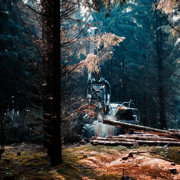 Lumberjack Equipment