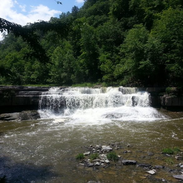 Lumberjack Festival Macedon New York