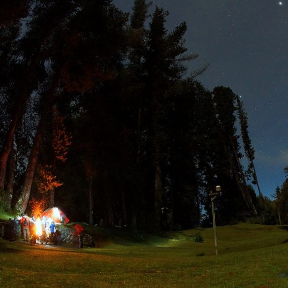 Lumberjack Feud Dinner Show