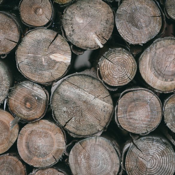 Lumberjack Feud Gatlinburg TN