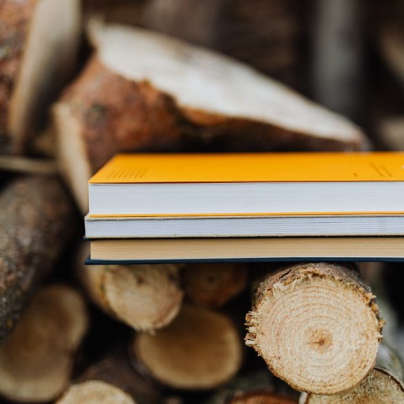 Lumberjack Feud discounts