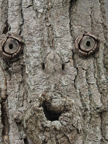 Lumberjack Halloween Costumes