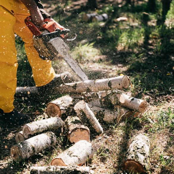 Lumberjack Mitre Saws British Columbia