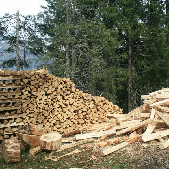 Lumberjack Rescue