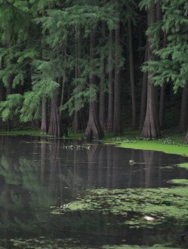 Lumberjack River